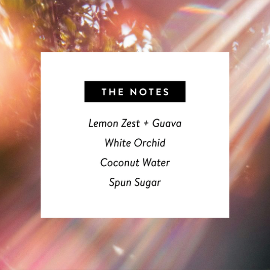 Solstice by West Clay Co. | 1.7 oz Perfume Spray