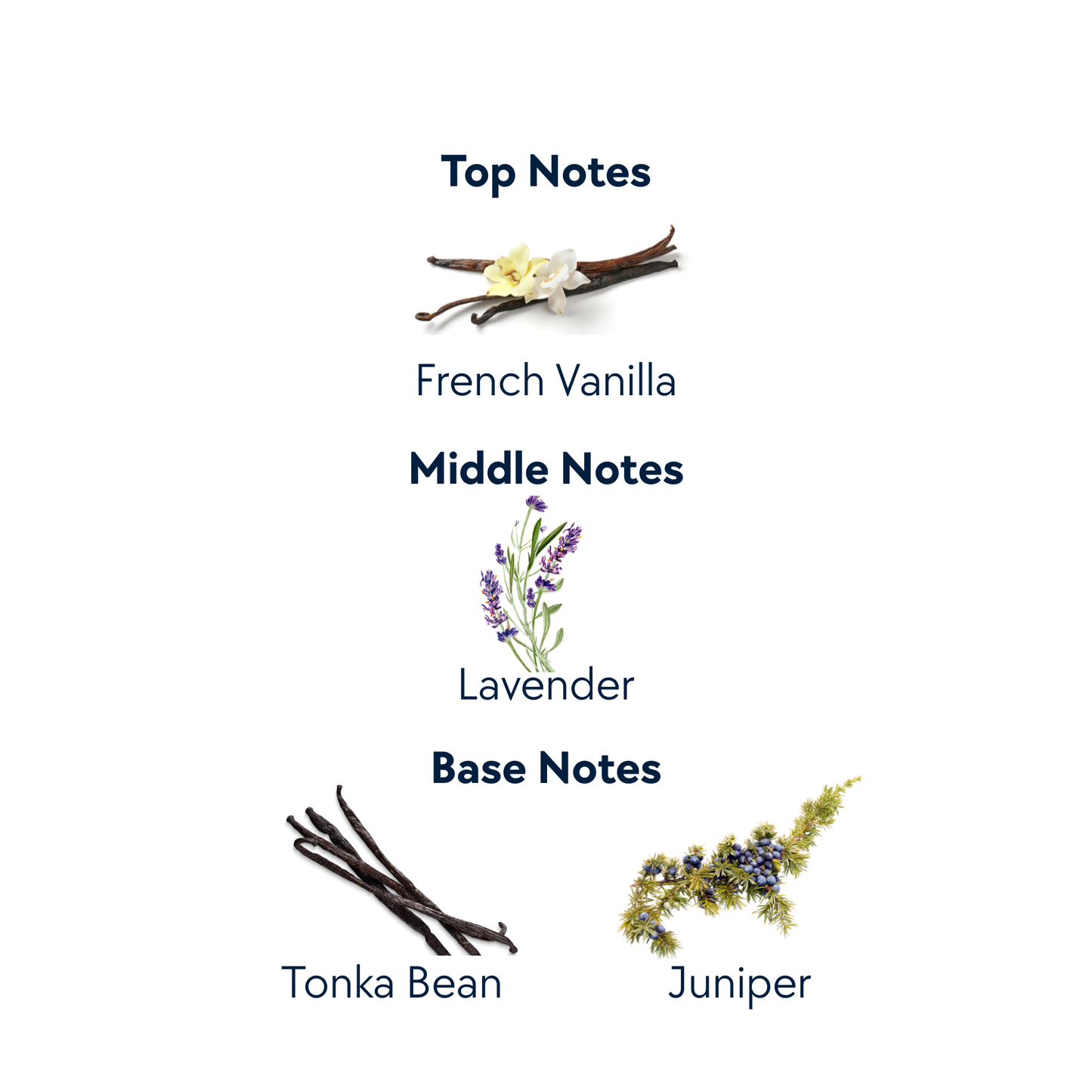 McKinney Ave by Expressive Aromas | 1 oz. Eau De Parfum Spray