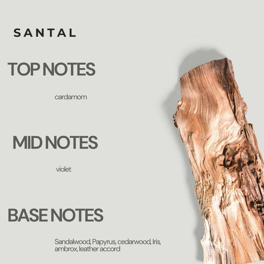 Santal by Moon Works | 15ml Unisex Roll-On Perfume