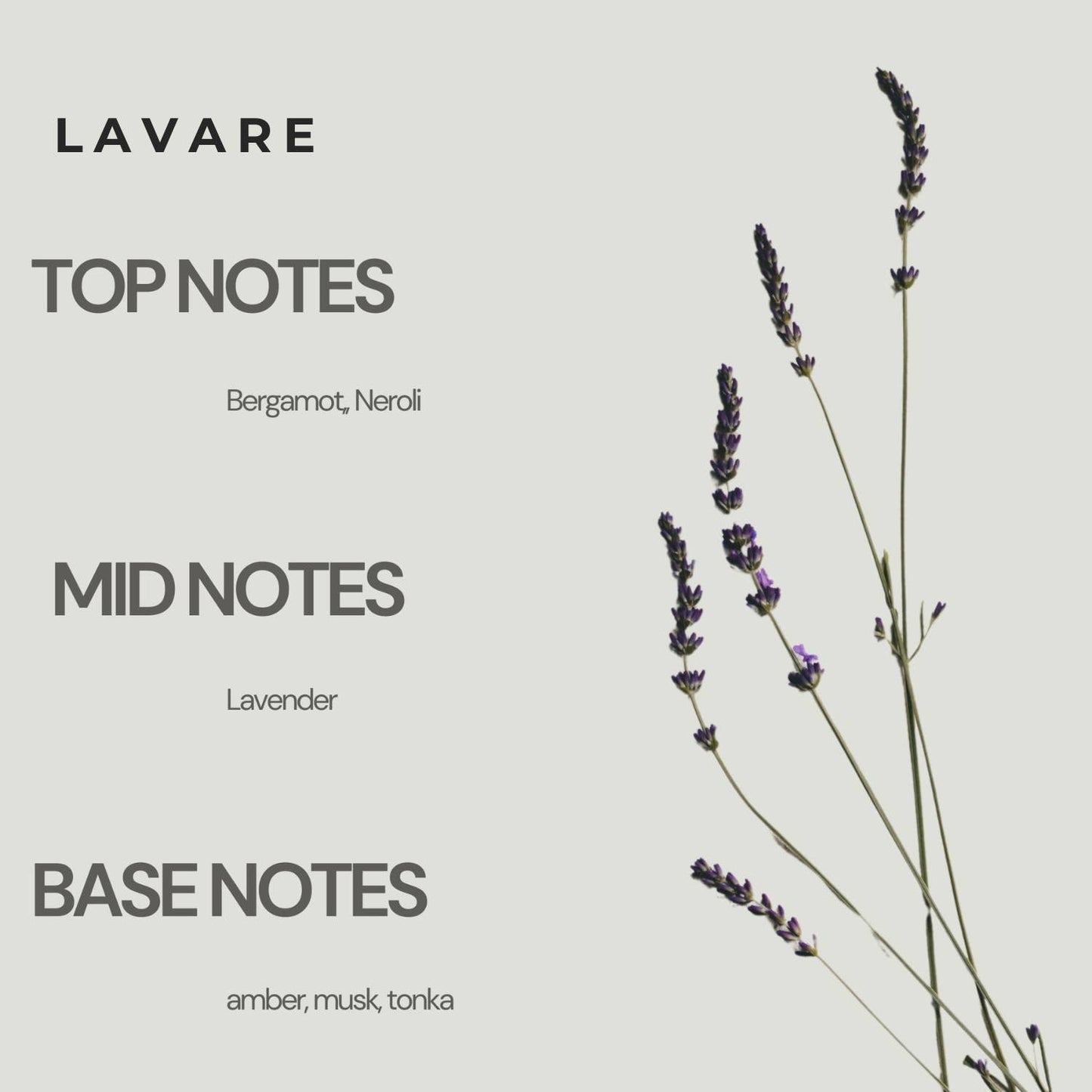 Moon Works Lavare 1.7 oz. EDP Spray Notes