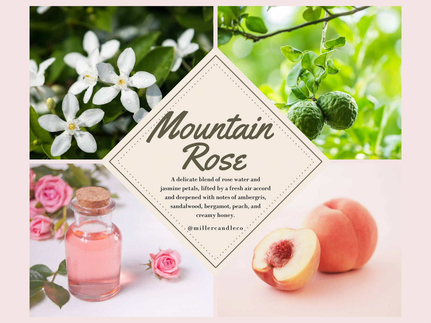 Mountain Rose by Miller Bath Co. | 10ml Roll-On Perfume