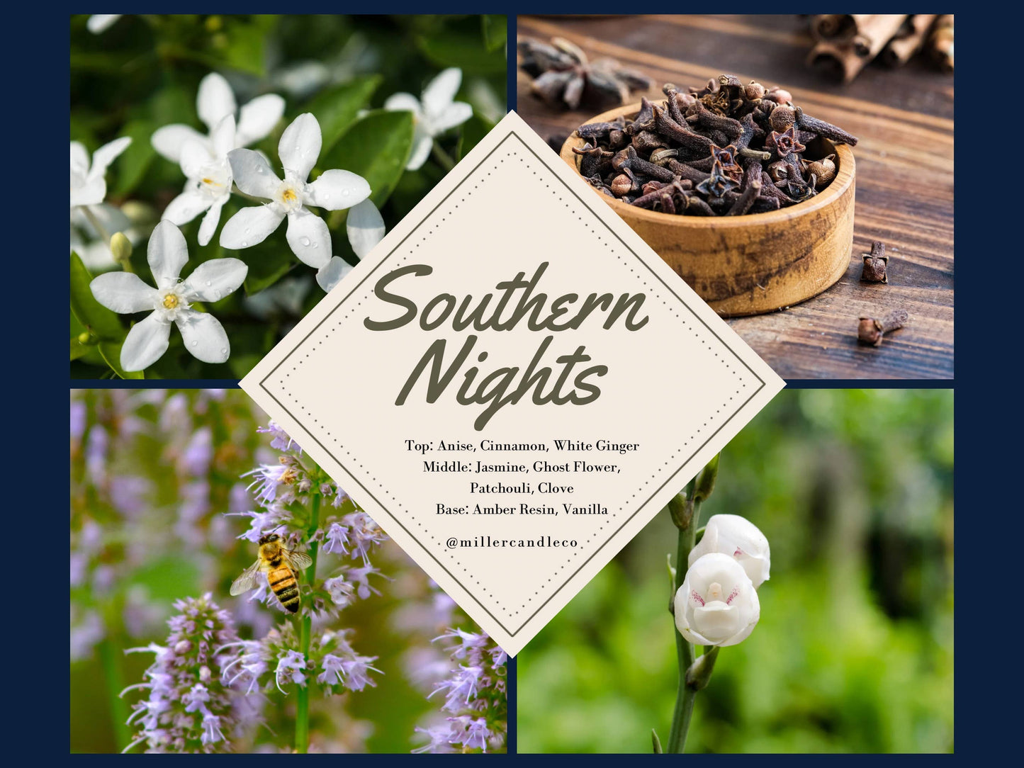 Southern Nights by Miller Bath Co. | 10ml Roll-On Perfume