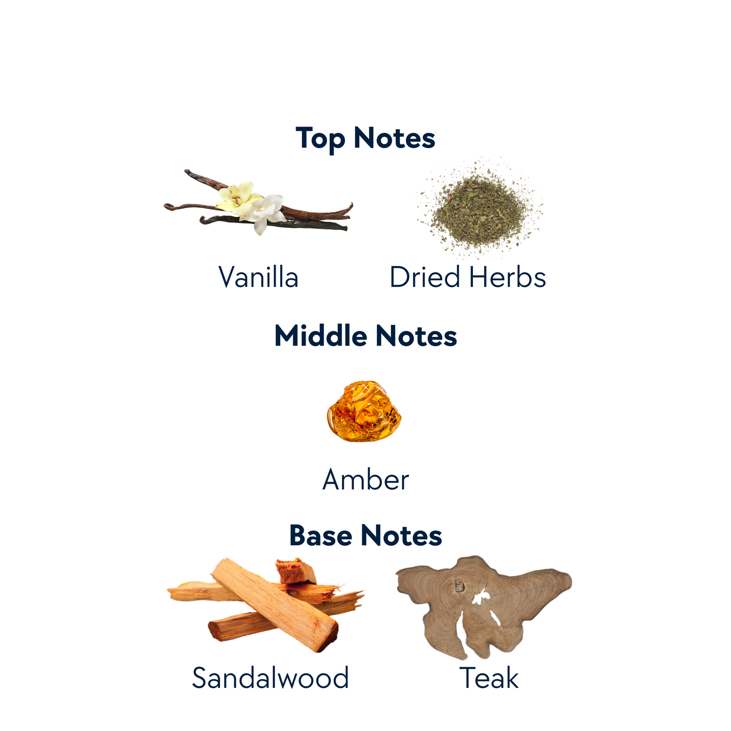 Ranch Water by Expressive Aromas | 10 mL Eau de Parfum Roll-On Oil