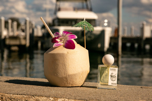 HAVEN by SOLENNE | 1.7 oz. Eau De Parfum Spray