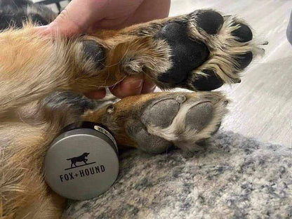 Paw Pad Salve by Fox + Hound (Unscented)