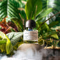 Cloud Cardamom by Scent Trunk | 1 oz. Eau de Parfum Spray