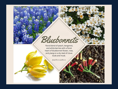 Bluebonnets by Miller Bath Co. | 1.7 oz. Perfume Spray