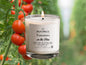 Tomatoes on the Vine by Miller Candle Co. 8 oz. Candle