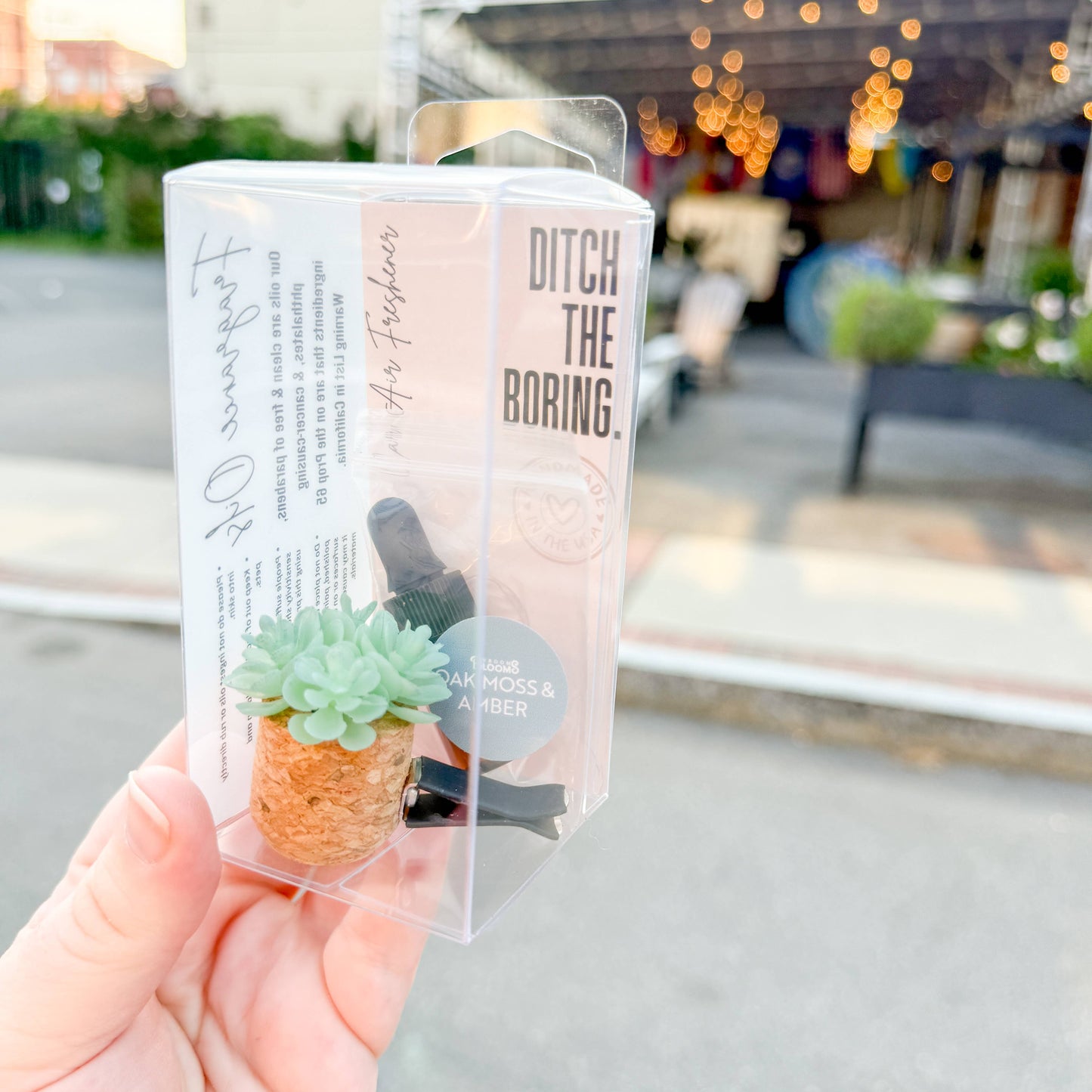 Velvet Rouge: Aqua Succulent Vent Clip Car Air Freshener Diffuser Reusable