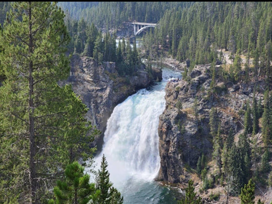 Yellowstone by Fox + Hound | 8 oz. Spray Dog Cologne