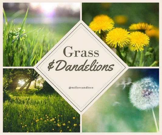 Grass & Dandelions by Miller Candle Co. 8 oz. Candle