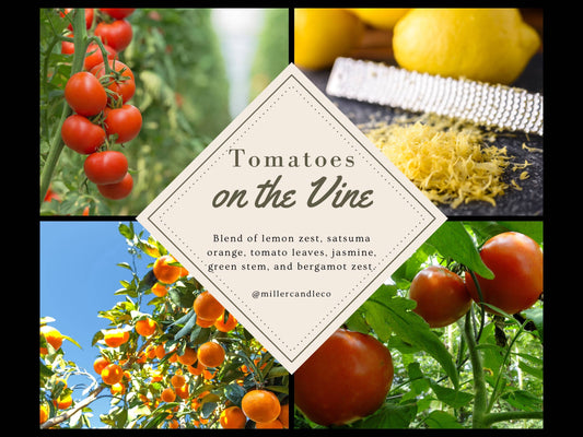 Tomatoes on the Vine by Miller Candle Co. 8 oz. Candle