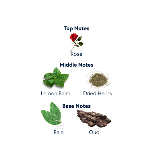 Bluebonnet Trail by Expressive Aromas | 1 oz. Eau De Parfum Spray