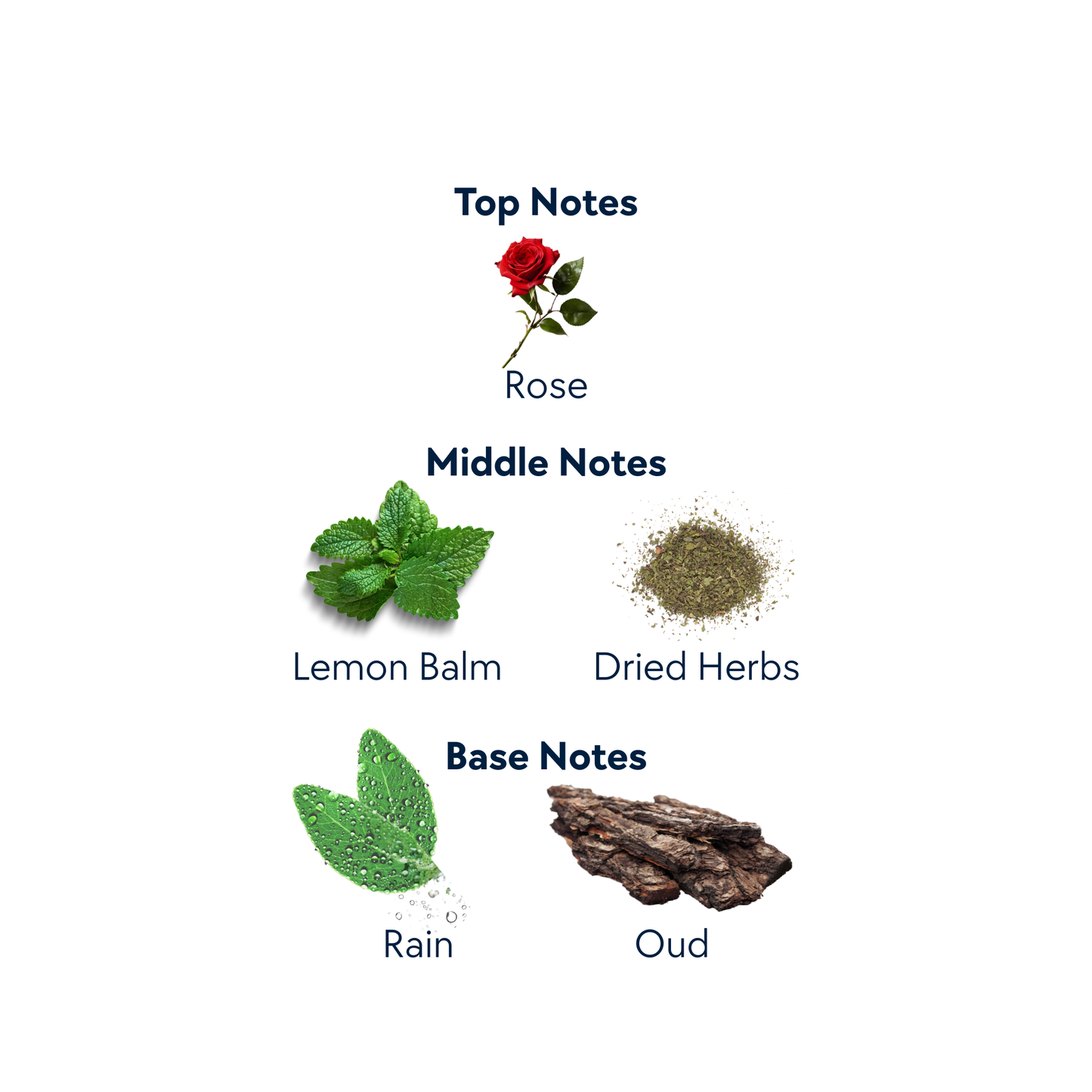 Bluebonnet Trail by Expressive Aromas | 10 mL Eau de Parfum Roll-On Oil