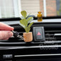 English Rose Garden: Fiddle Plant Vent Clip Car Air Freshener Diffuser (Reusable)