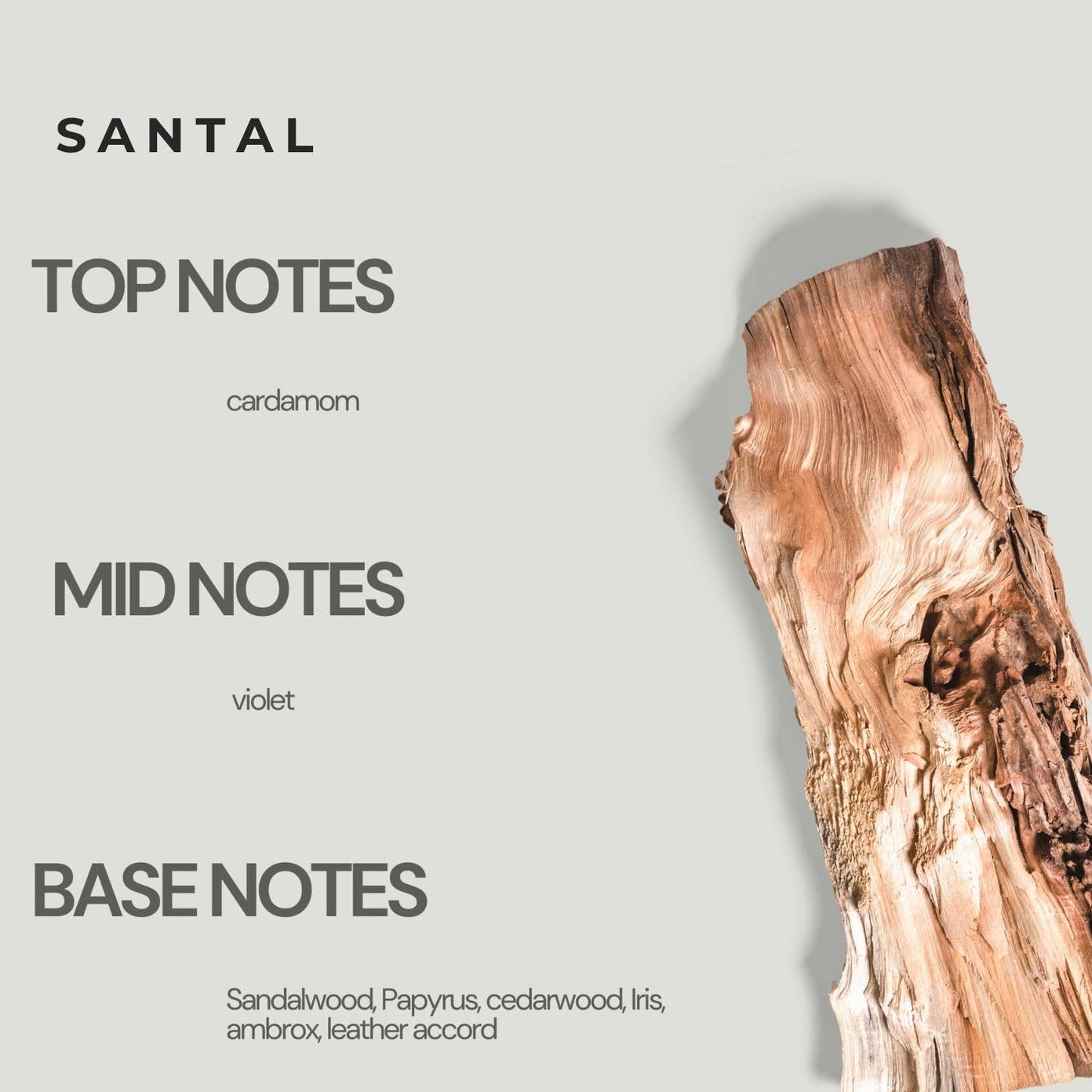 Santal by Moon Works | 15ml Unisex Roll-On Perfume