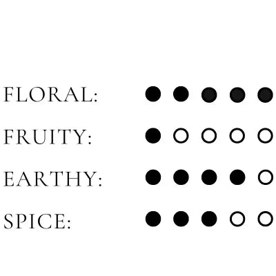 Efori Connection Perfume Spray Notes