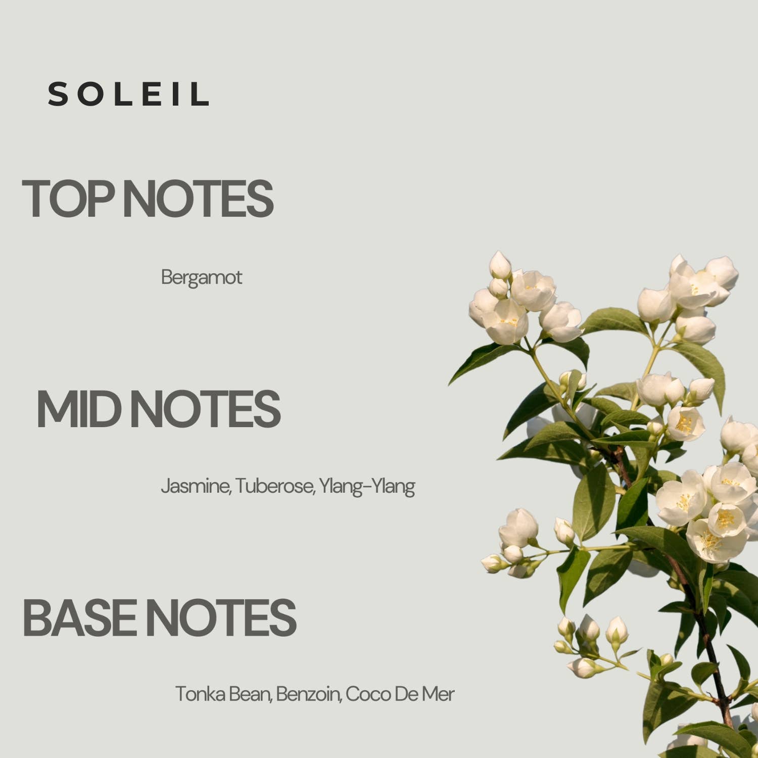 Moon Works Soleil 1.7 oz EDP Spray Notes 