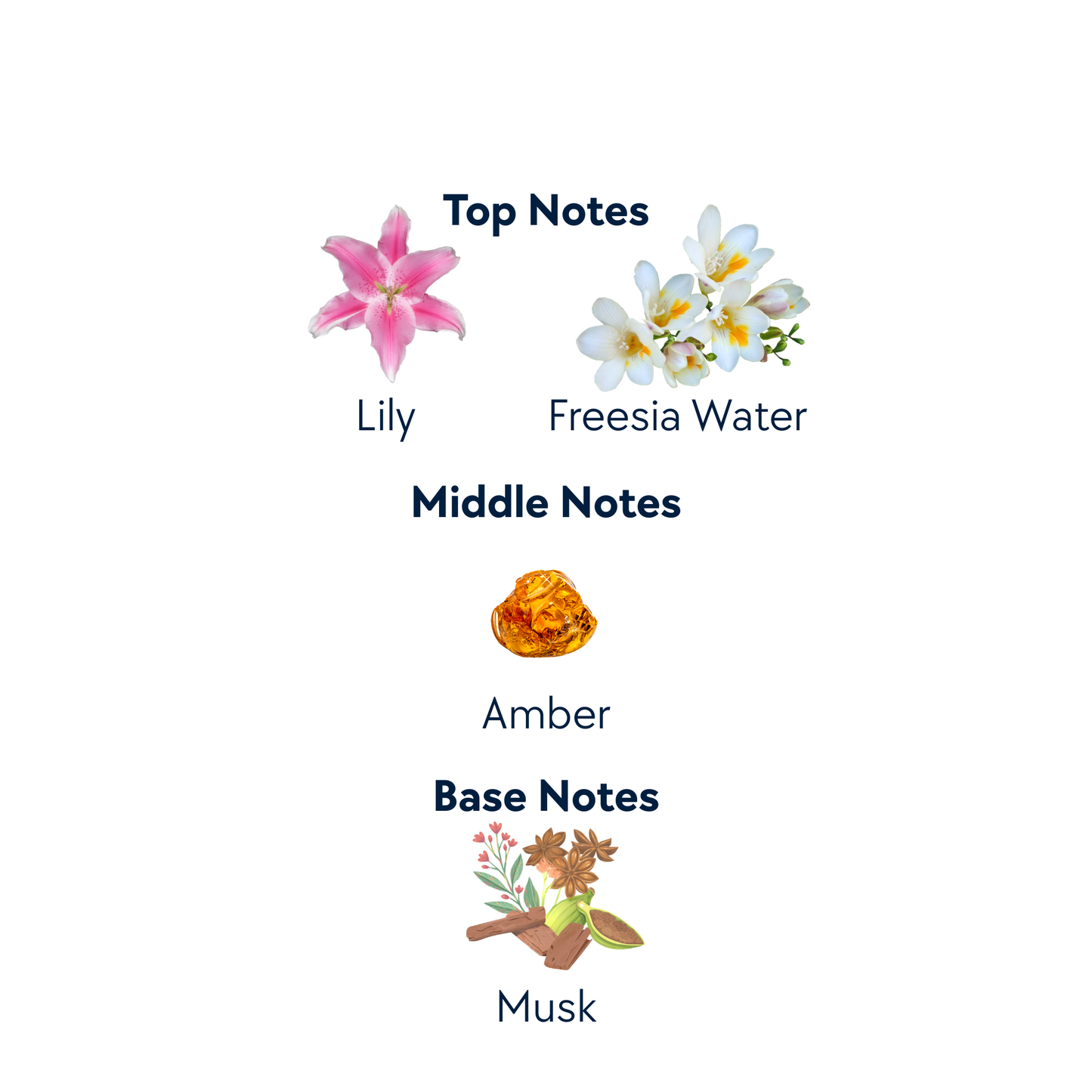 Glitter Dixie by Expressive Aromas | 10 mL Eau de Parfum Roll-On Oil