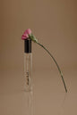 Grapefruit + Tonka Bean | AURA Clean Travel Perfume