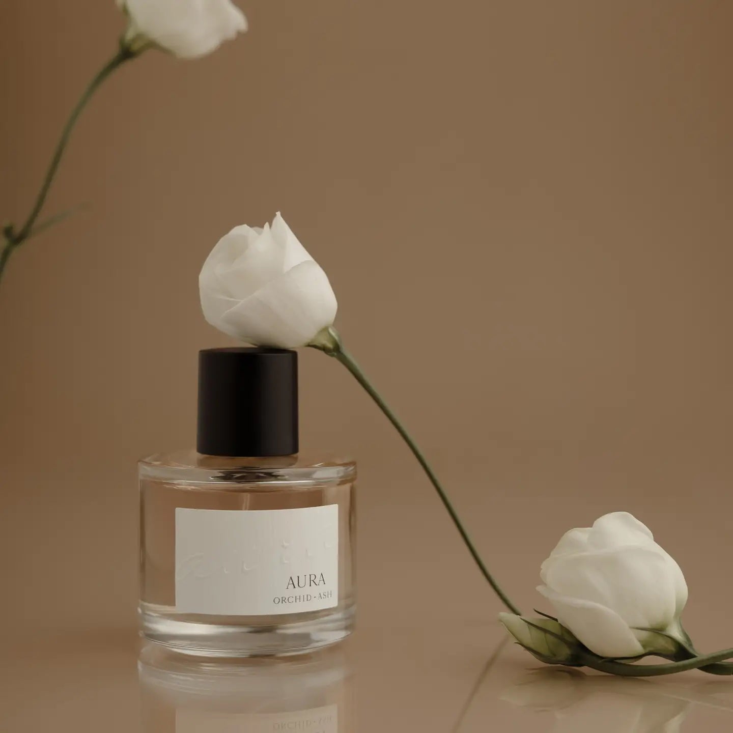 AURA by Orchid + Ash | Extrait de Parfum