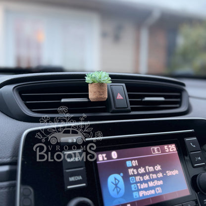 Velvet Rouge: Aqua Succulent Vent Clip Car Air Freshener Diffuser Reusable