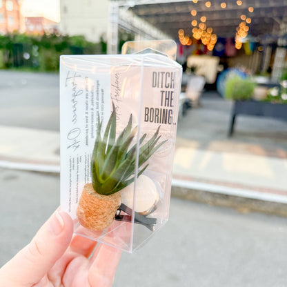 Botanical Spa: Tall Aloe Vera Vent Clip Car Air Freshener Diffuser (Reuseable)