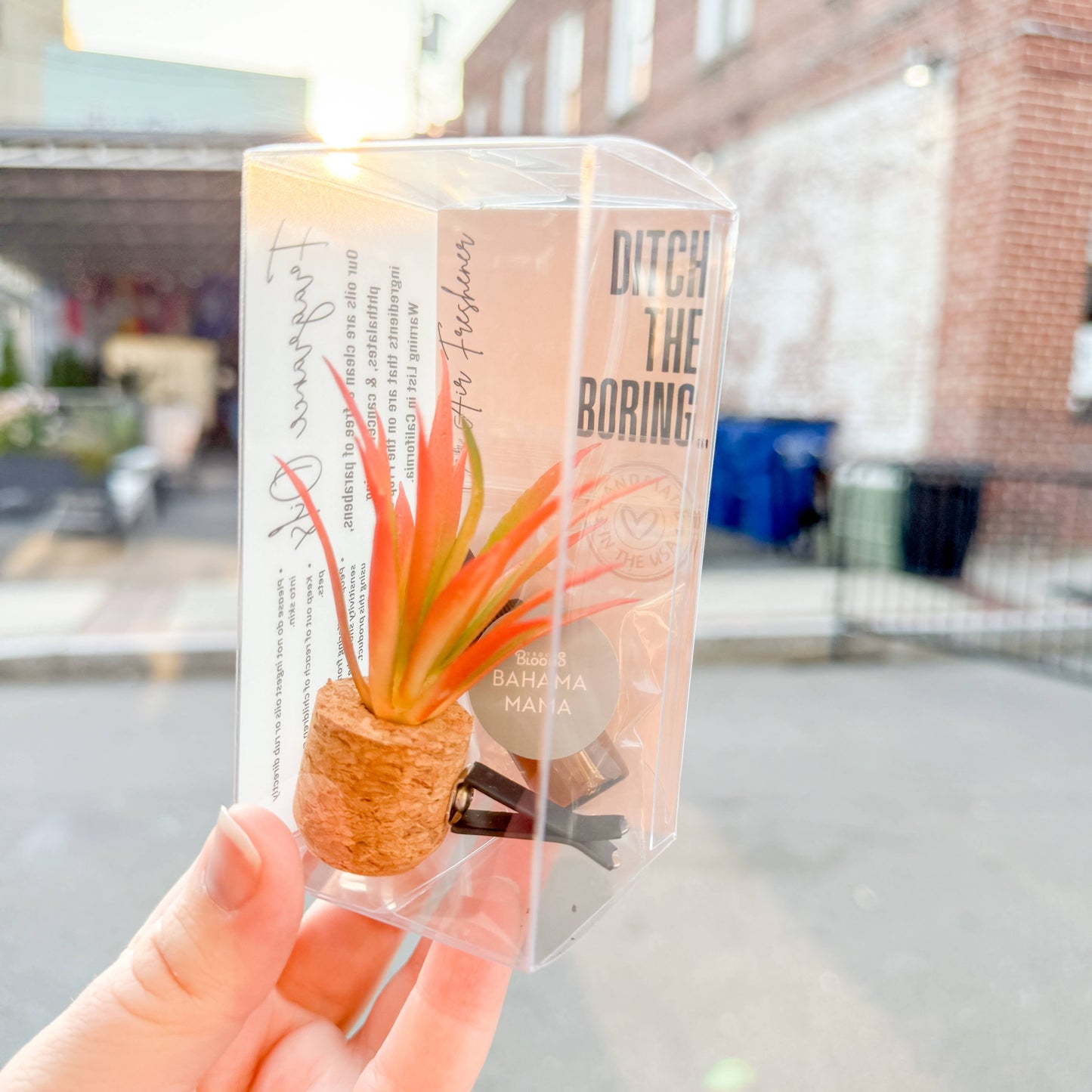 Blood Orange Paloma: Orange Spikey Plant Vent Clip Car Air Freshener (Reusable)