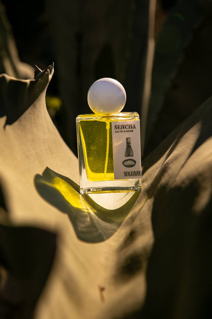 SENCHA by SOLENNE | 1.7 oz. Eau De Parfum Spray