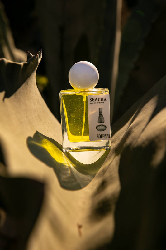 SENCHA by SOLENNE | 1.7 oz. Eau De Parfum Spray