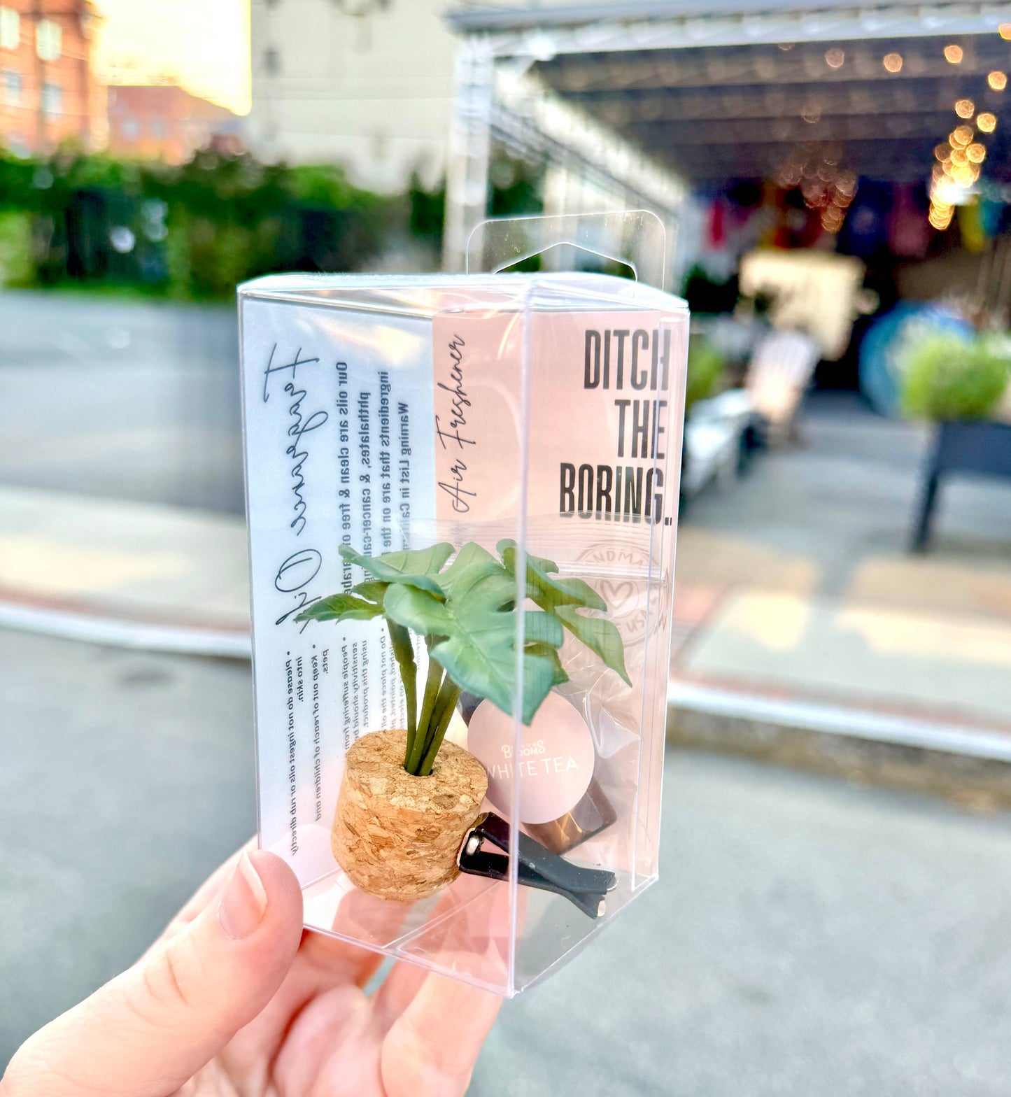 Coconut Mango: Monstera Vent Clip Car Air Freshener Diffuser (Reusable)