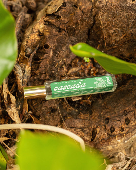 Cascada by RICA | 10 ml. Perfume Roll-On