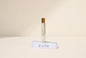 Palm by Coast + Salt | Eau de Parfum